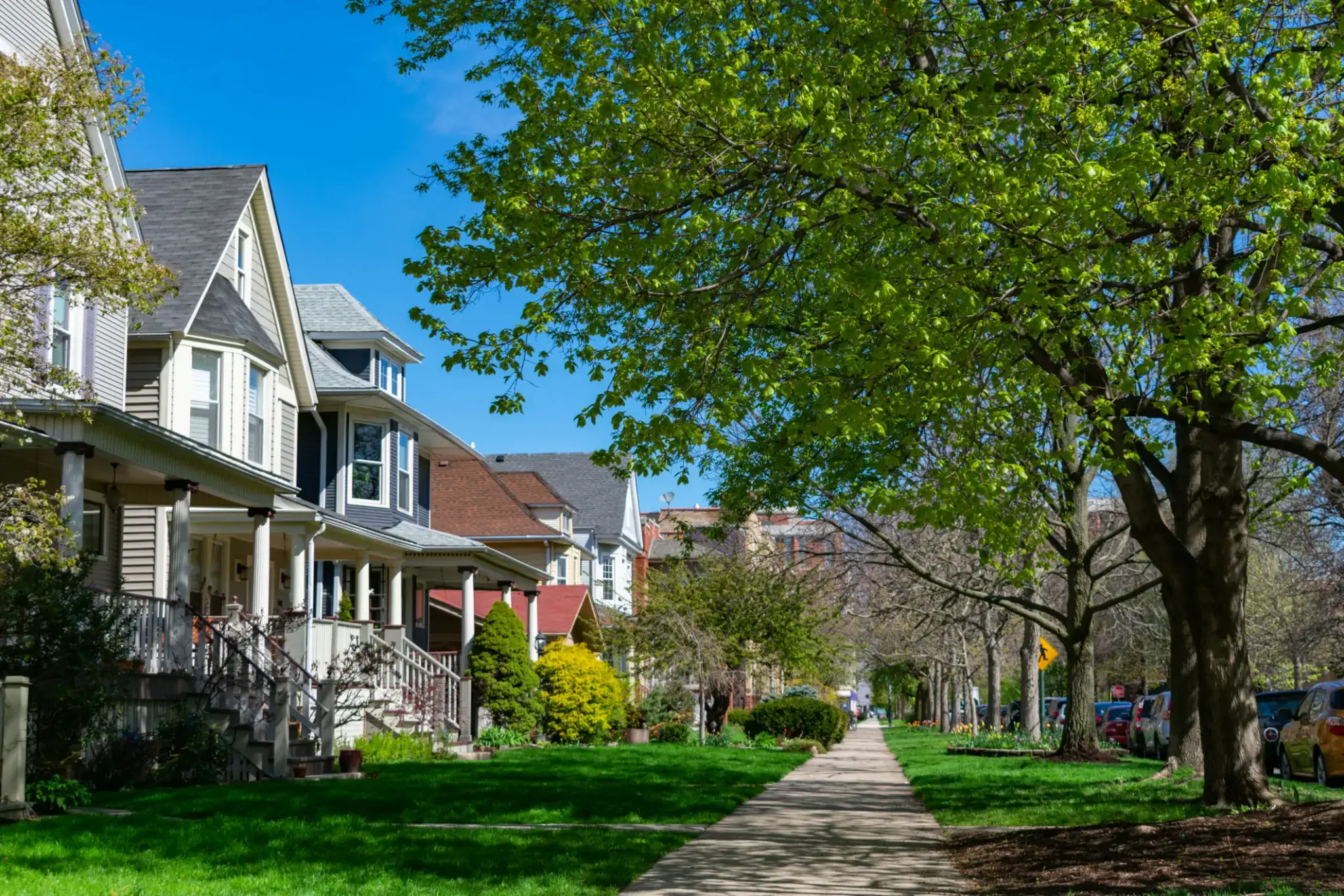 A sunny suburban street lined with trees and houses.